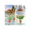 Medidor de Suelo 3 en 1, Medidor Humedad, PH, Iluminancia, no requiere bateria